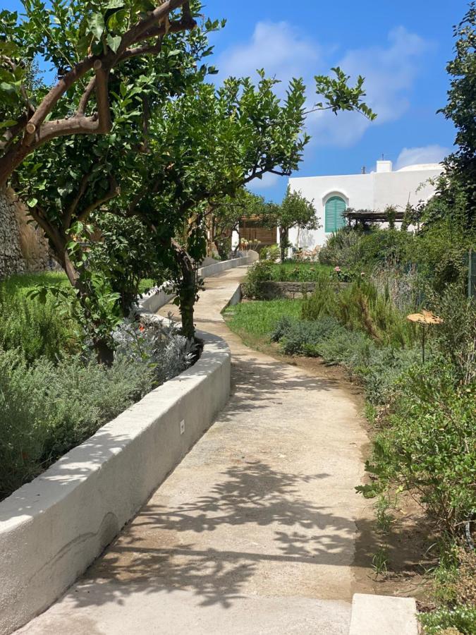 Capri Suite Marina Grande מראה חיצוני תמונה